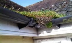 Cleaning gutter in Preston